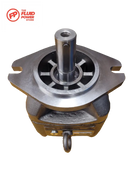 Pgh5-3X/080Re11Vu2  Pumps