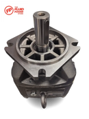 Pgh5-3X/100Re11Ve4 Pumps