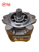 Pgh5-3X/100Rr11Vu2  Pumps